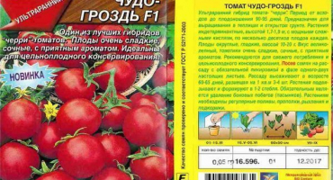 Popis odrůdy rajče zázrak parta f1 a její vlastnosti